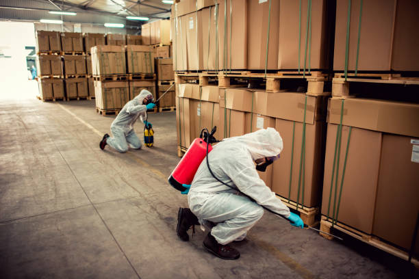 Best Pest Removal Services  in Langston, OK