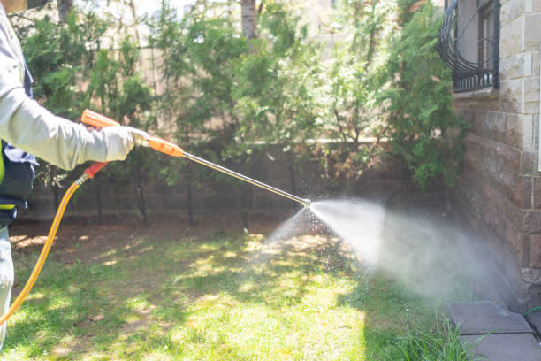 Best Pest Prevention Services  in Langston, OK