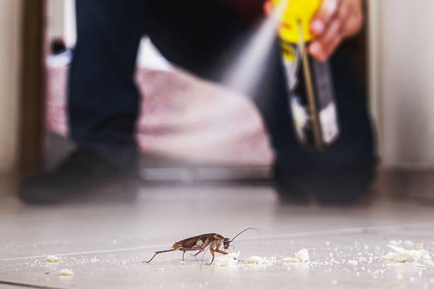 Pest Prevention Services in Langston, OK