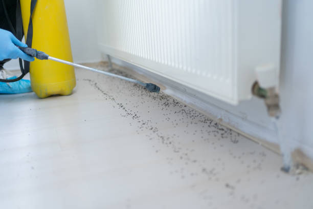 Reliable Langston, OK Pest Control Solutions
