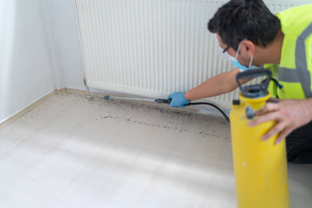 Best Ant Control Services  in Langston, OK