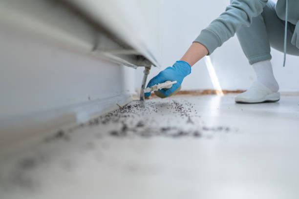 Best Mosquito Control Services  in Langston, OK